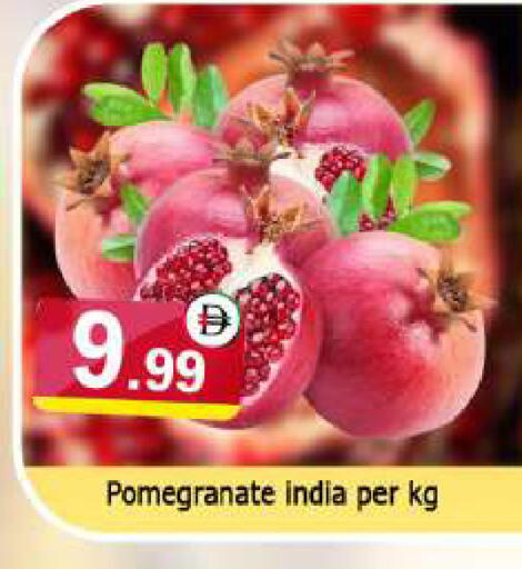 available at المدينة in الإمارات العربية المتحدة , الامارات - دبي