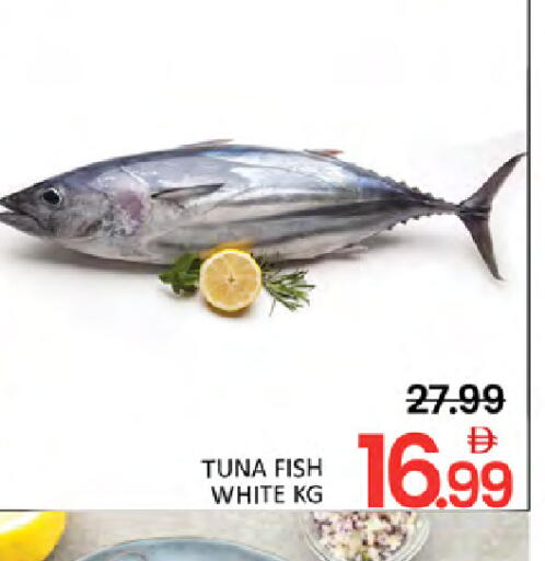 available at المدينة in الإمارات العربية المتحدة , الامارات - دبي