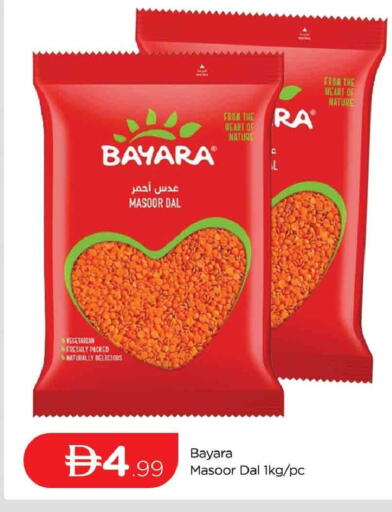 available at المدينة in الإمارات العربية المتحدة , الامارات - دبي