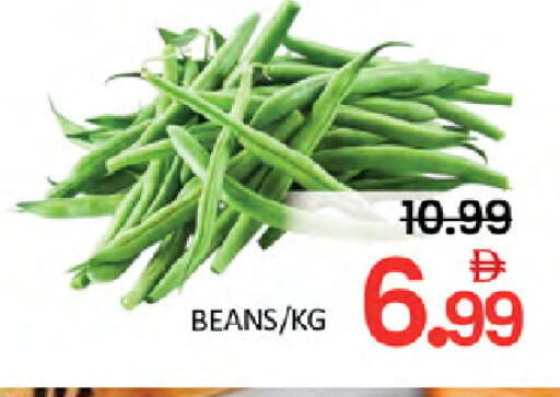 available at المدينة in الإمارات العربية المتحدة , الامارات - رَأْس ٱلْخَيْمَة