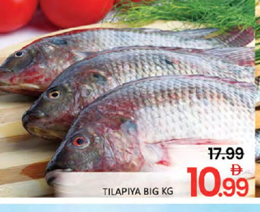 available at المدينة in الإمارات العربية المتحدة , الامارات - رَأْس ٱلْخَيْمَة