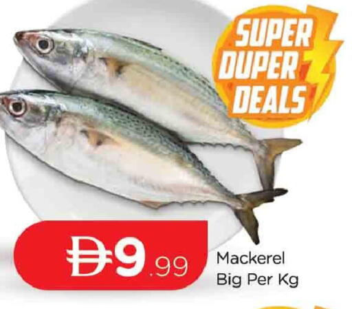 available at المدينة in الإمارات العربية المتحدة , الامارات - دبي