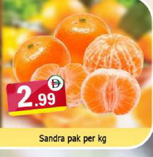 available at المدينة in الإمارات العربية المتحدة , الامارات - دبي