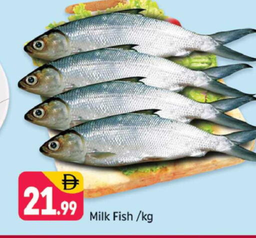 available at Shaklan  in UAE - Dubai