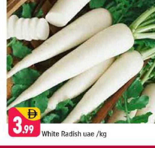 Radish available at Shaklan  in UAE - Dubai