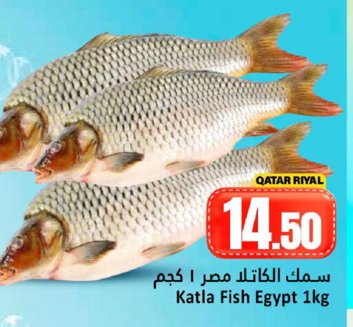 available at دانة هايبرماركت in قطر - الشمال