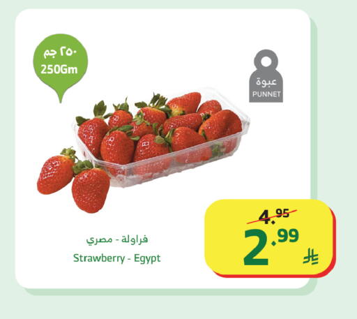 available at Al Raya in KSA, Saudi Arabia, Saudi - Medina