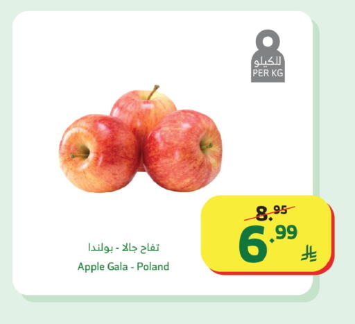 available at Al Raya in KSA, Saudi Arabia, Saudi - Medina