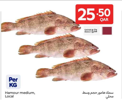 available at Carrefour in Qatar - Doha