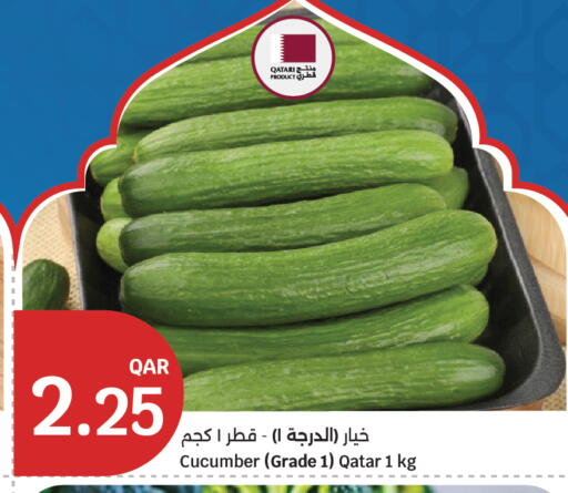 Cucumber from Qatar available at City Hypermarket in Qatar - Doha