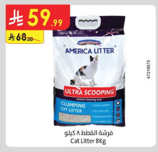 available at Danube in KSA, Saudi Arabia, Saudi - Tabuk