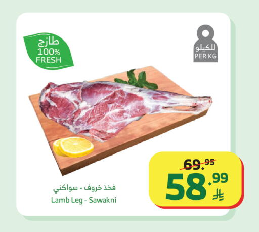 available at الراية in مملكة العربية السعودية, السعودية, سعودية - جدة