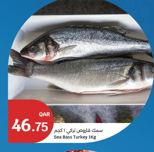 available at City Hypermarket in Qatar - Doha