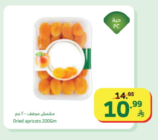 available at الراية in مملكة العربية السعودية, السعودية, سعودية - جدة