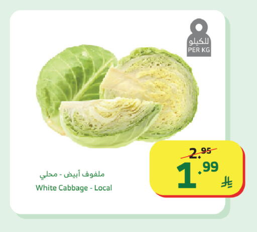 available at الراية in مملكة العربية السعودية, السعودية, سعودية - تبوك