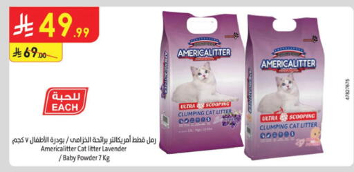 available at Danube in KSA, Saudi Arabia, Saudi - Tabuk