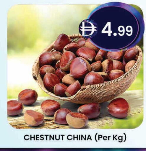 from China available at K M Trading  in UAE - Al Ain