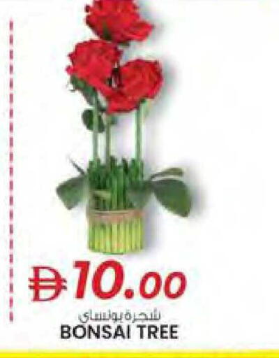 available at Safa Hyper in UAE - Al Ain