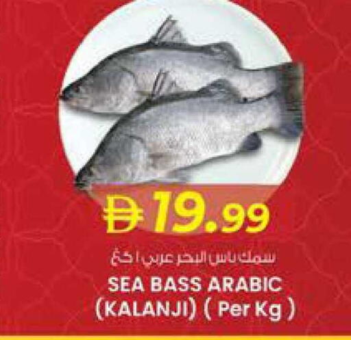 available at K M Trading  in UAE - Sharjah / Ajman