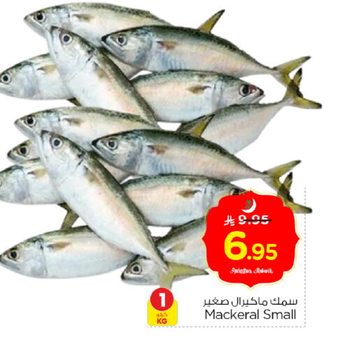 available at نستو in مملكة العربية السعودية, السعودية, سعودية - الخرج