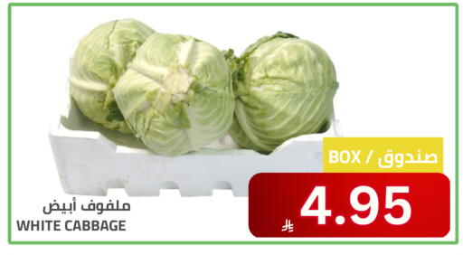 Cabbage available at Astra Markets in KSA, Saudi Arabia, Saudi - Tabuk
