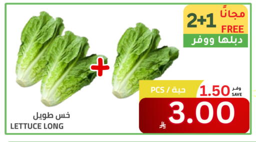 Lettuce available at Astra Markets in KSA, Saudi Arabia, Saudi - Tabuk
