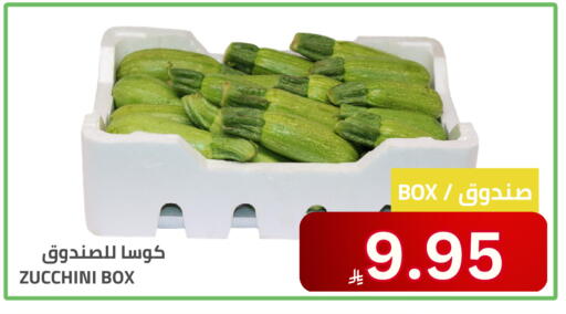 Zucchini available at Astra Markets in KSA, Saudi Arabia, Saudi - Tabuk