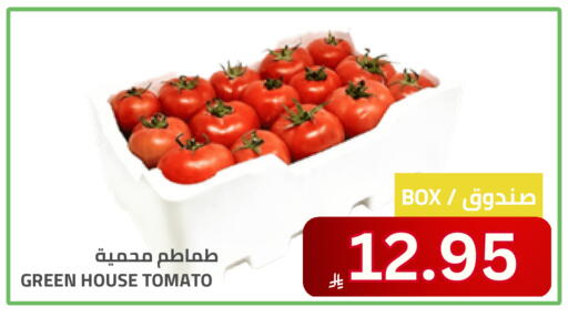 Tomato available at Astra Markets in KSA, Saudi Arabia, Saudi - Tabuk