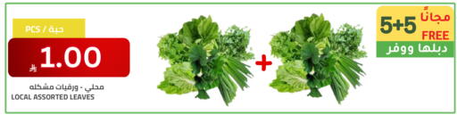 available at Astra Markets in KSA, Saudi Arabia, Saudi - Tabuk