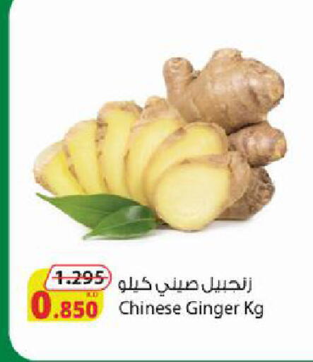 Ginger from China available at شركة المنتجات الزراعية الغذائية in الكويت - محافظة الجهراء
