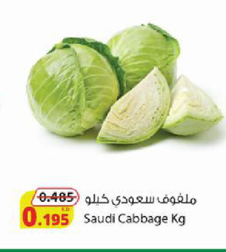 Cabbage from Saudi Arabia available at شركة المنتجات الزراعية الغذائية in الكويت - محافظة الجهراء
