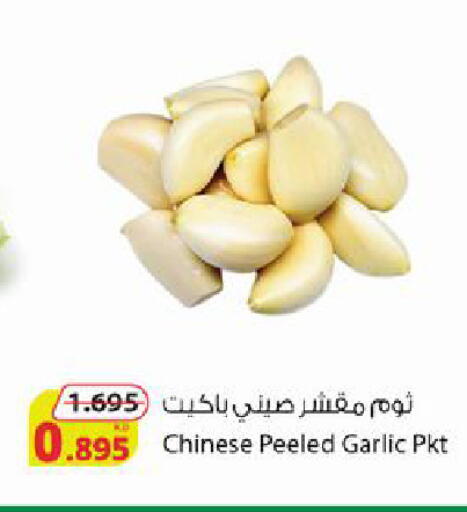 Garlic from China available at شركة المنتجات الزراعية الغذائية in الكويت - محافظة الجهراء