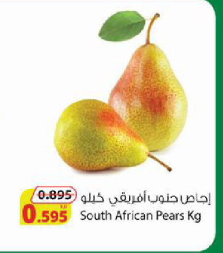 from South Africa available at شركة المنتجات الزراعية الغذائية in الكويت - محافظة الجهراء