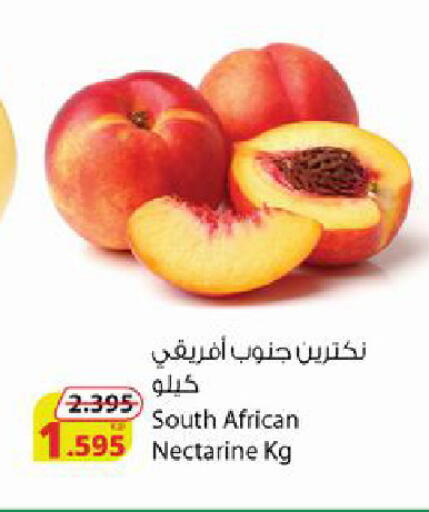 Nectarine from South Africa available at Agricultural Food Products Co. in Kuwait - Jahra Governorate