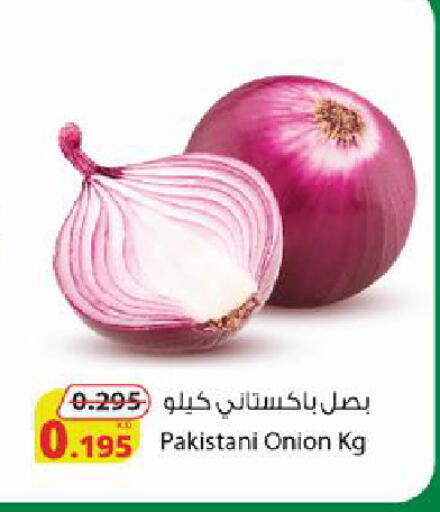 Onion from Pakistan available at Agricultural Food Products Co. in Kuwait - Jahra Governorate