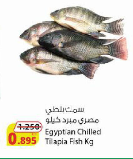 available at شركة المنتجات الزراعية الغذائية in الكويت - محافظة الجهراء