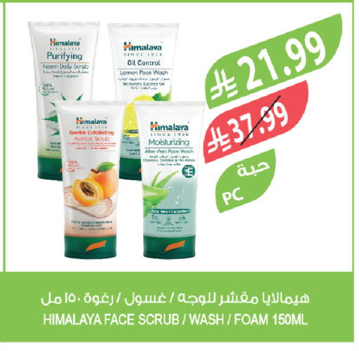 Lemon available at Farm  in KSA, Saudi Arabia, Saudi - Jazan