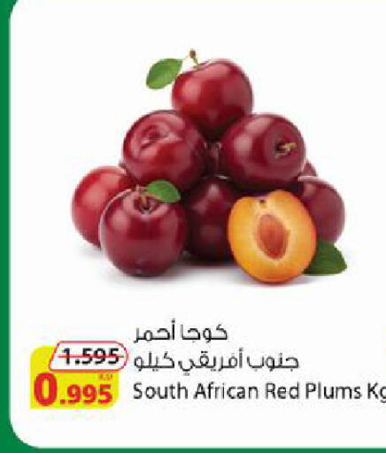 Plums from South Africa available at شركة المنتجات الزراعية الغذائية in الكويت - محافظة الجهراء