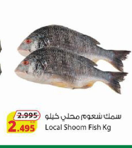 available at شركة المنتجات الزراعية الغذائية in الكويت - محافظة الجهراء