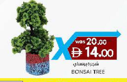 available at Al Safa in UAE - Al Ain