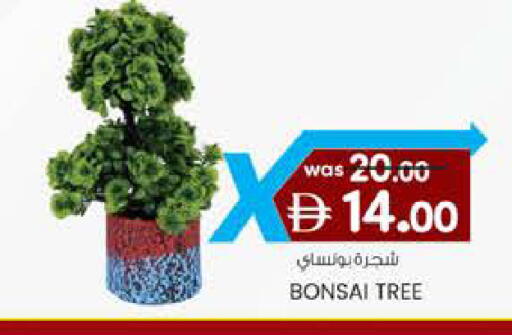 available at ك. الم. للتجارة in الإمارات العربية المتحدة , الامارات - ٱلْفُجَيْرَة‎