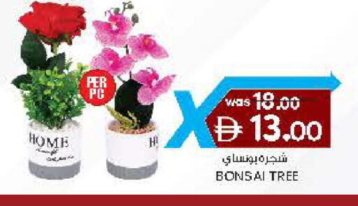 available at Al Safa in UAE - Al Ain