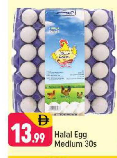 available at شكلان ماركت in الإمارات العربية المتحدة , الامارات - دبي