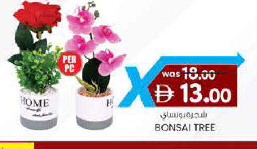 available at ك. الم. للتجارة in الإمارات العربية المتحدة , الامارات - ٱلْفُجَيْرَة‎