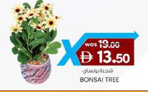 available at ك. الم. للتجارة in الإمارات العربية المتحدة , الامارات - ٱلْفُجَيْرَة‎