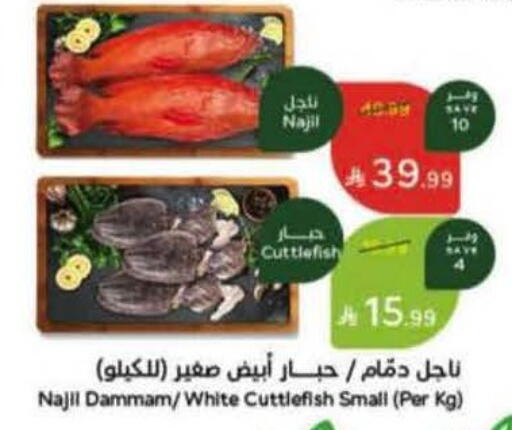 available at Hyper Panda in KSA, Saudi Arabia, Saudi - Tabuk