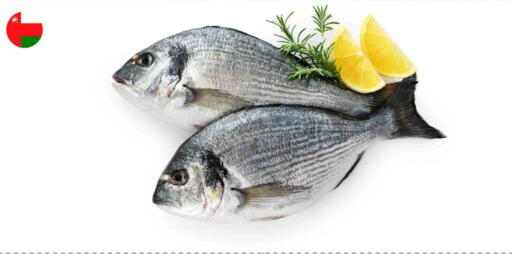 available at ســبــار in قطر - الريان