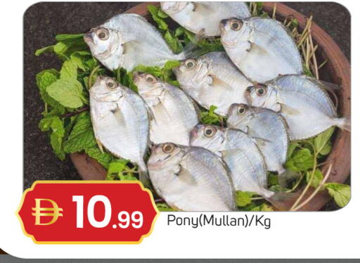 available at TALAL MARKET in UAE - Dubai