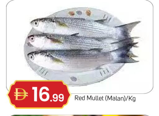 available at TALAL MARKET in UAE - Dubai