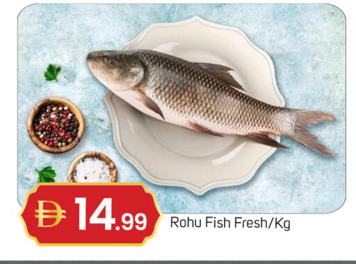 available at TALAL MARKET in UAE - Dubai